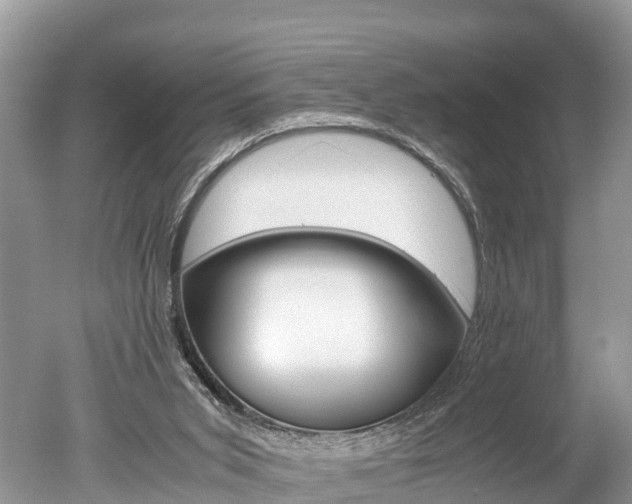 X0000051250015200506170854