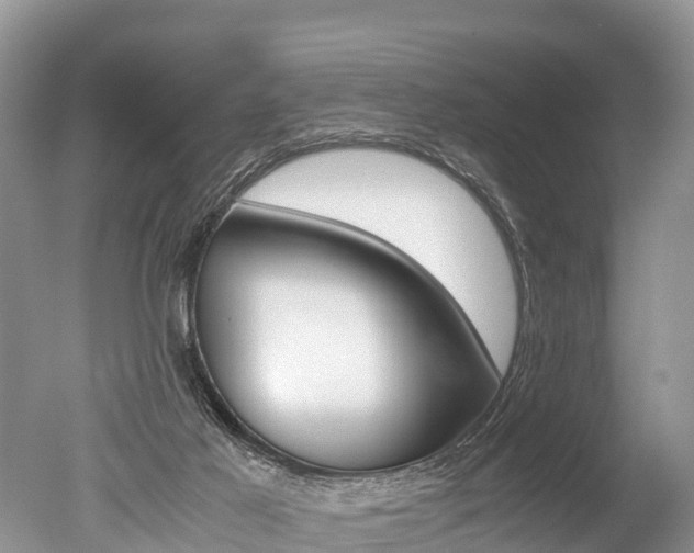 X0000051250021200506170853