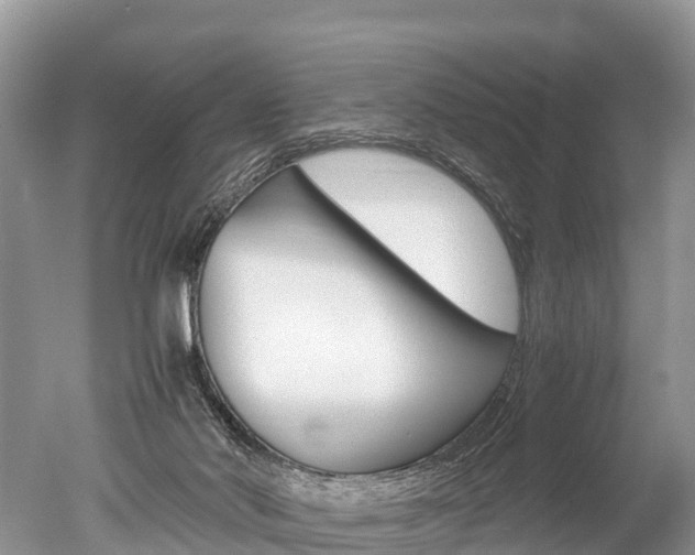 X0000051250022200506170853