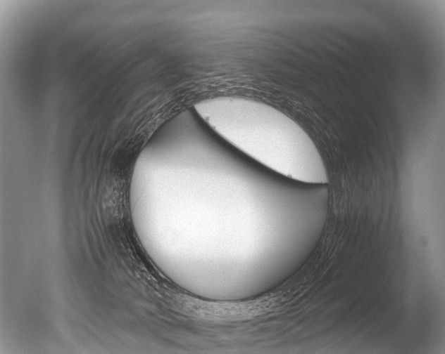 X0000051250034200506170853