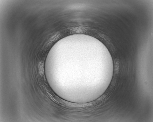X0000051250036200506170853