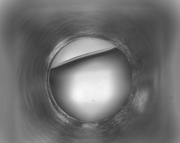 X0000051250051200506170852