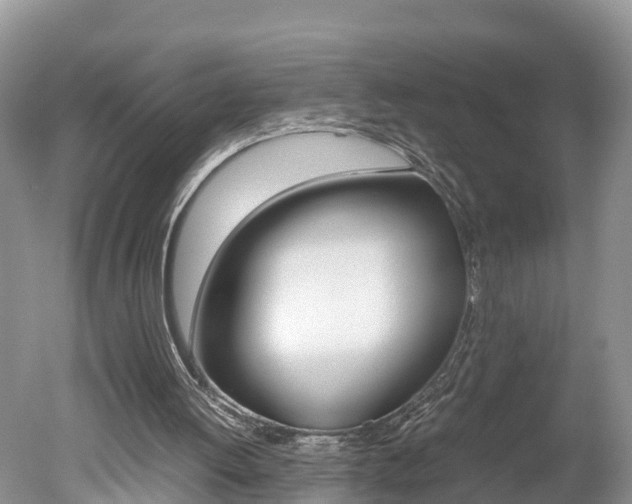 X0000051250052200506170852