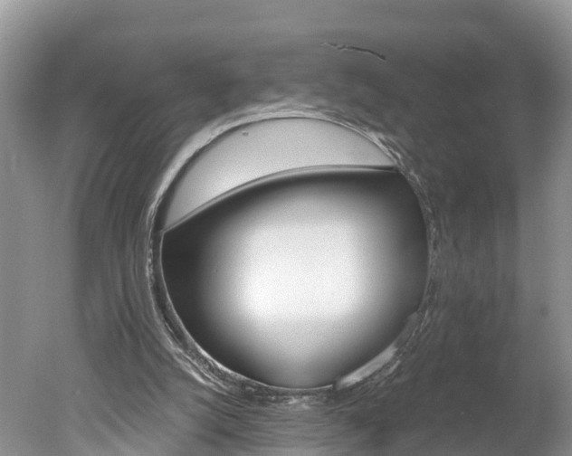 X0000051250056200506170852