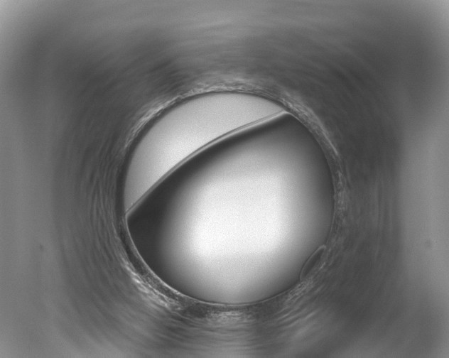 X0000051250058200506170852