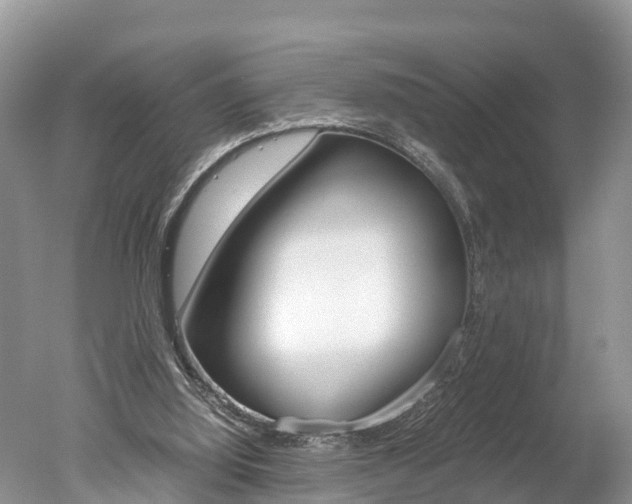 X0000051250060200506170852