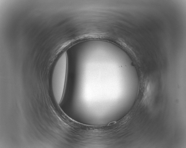 X0000051250062200506170852