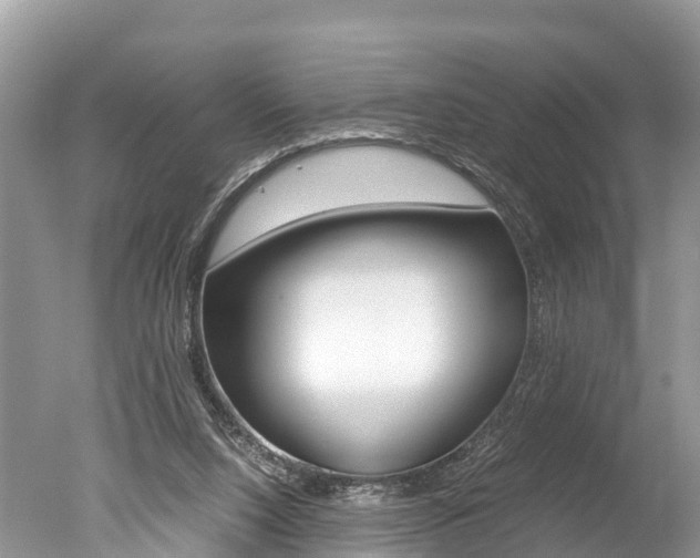 X0000051250064200506170852