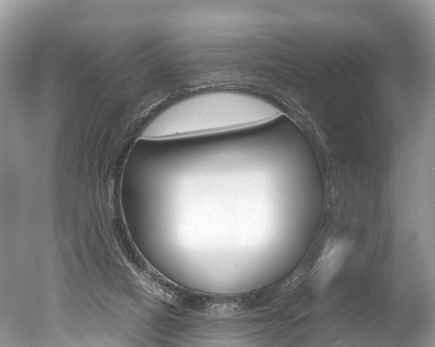 X0000051250066200506170852