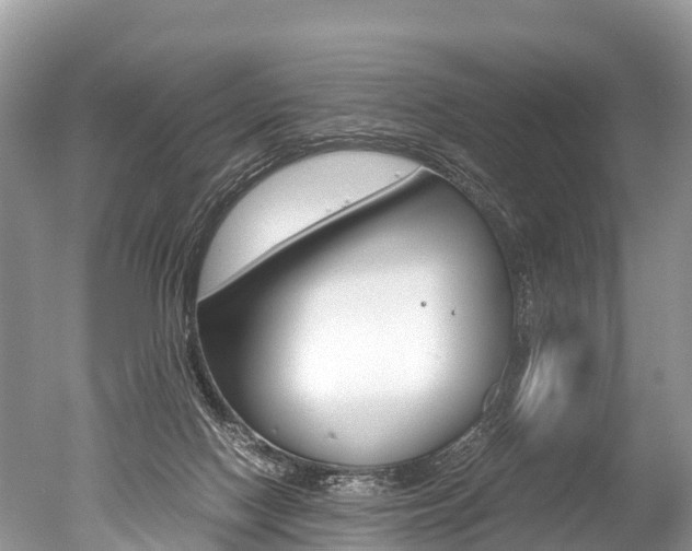 X0000051250074200506170853