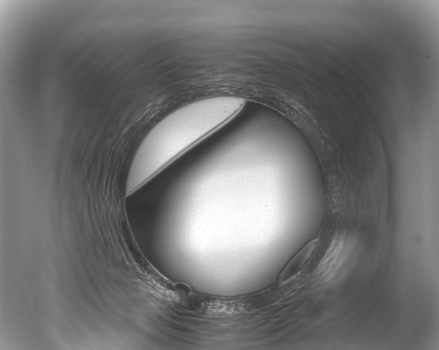 X0000051250077200506170853