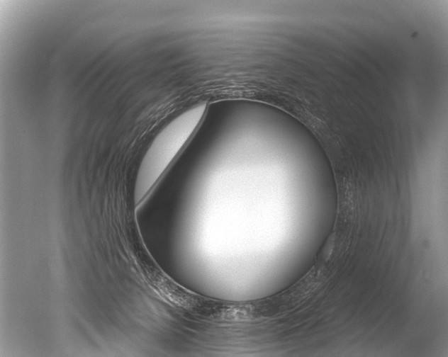 X0000051250080200506170853