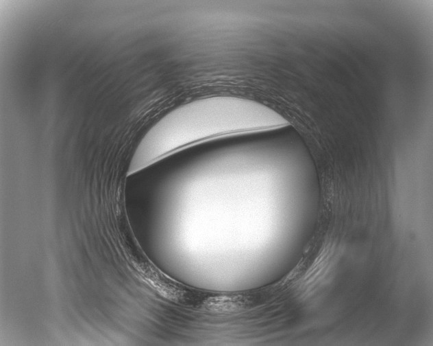 X0000051250082200506170853