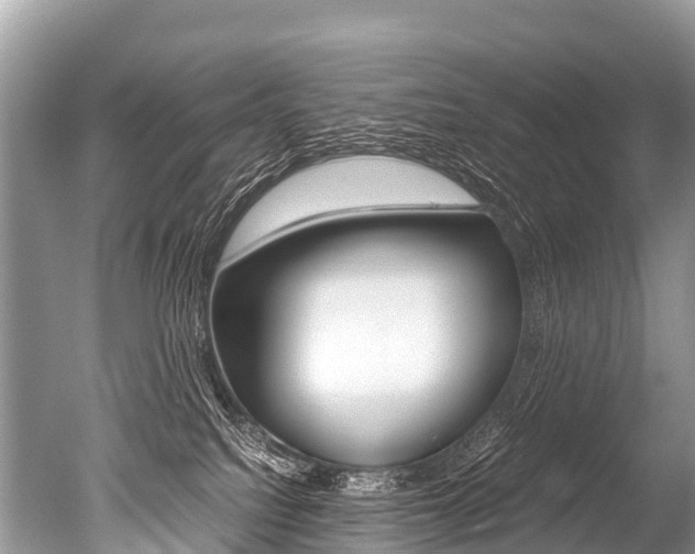 X0000051250088200506170853