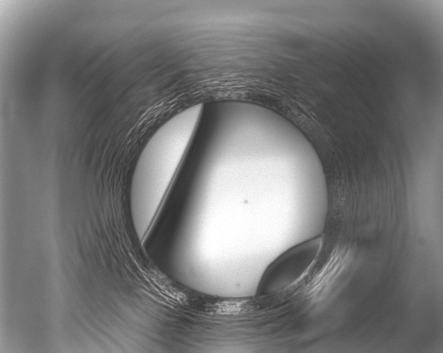 X0000051250090200506170853
