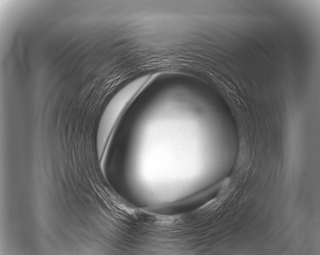 X0000051250096200506170853
