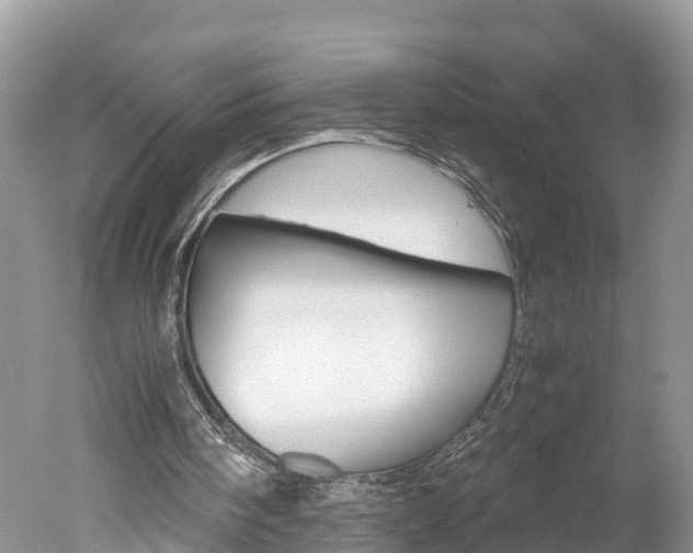X0000051250098200506170852