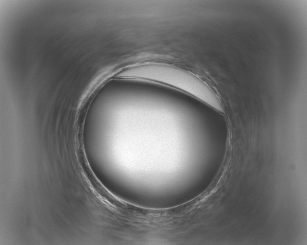 X0000051250101200506170852