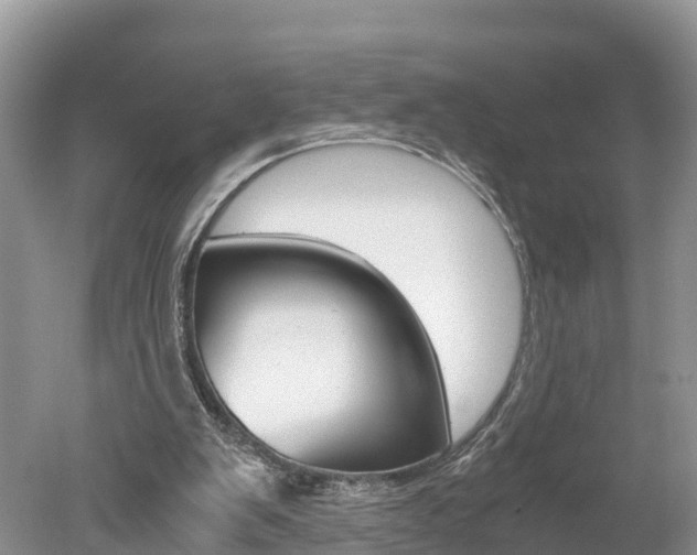 X0000051250103200506170852