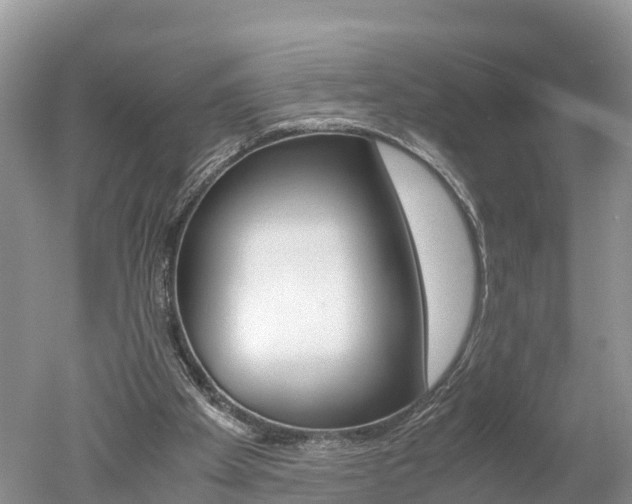 X0000051250105200506170852