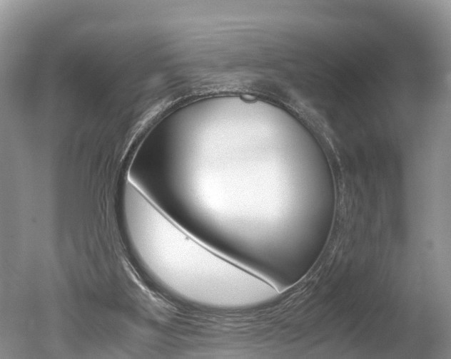 X0000051250107200506170852