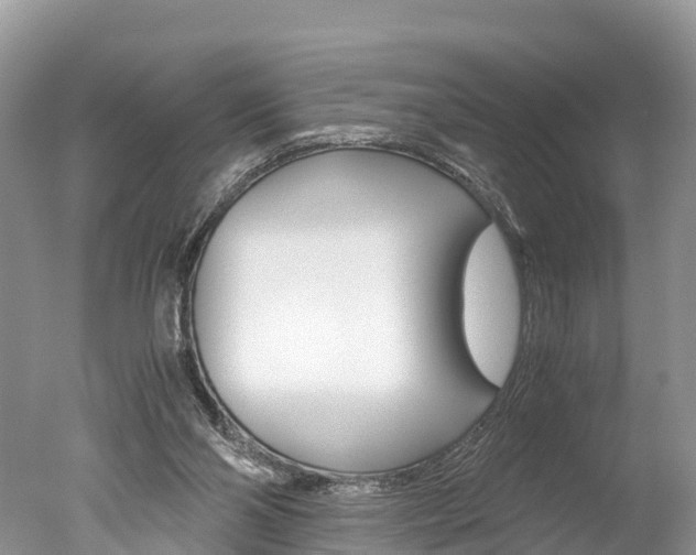 X0000051250110200506170852