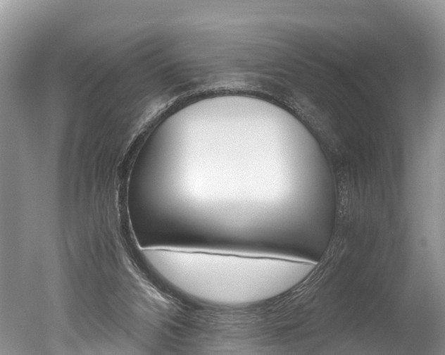 X0000051250112200506170852