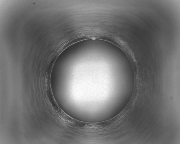X0000051250113200506170852