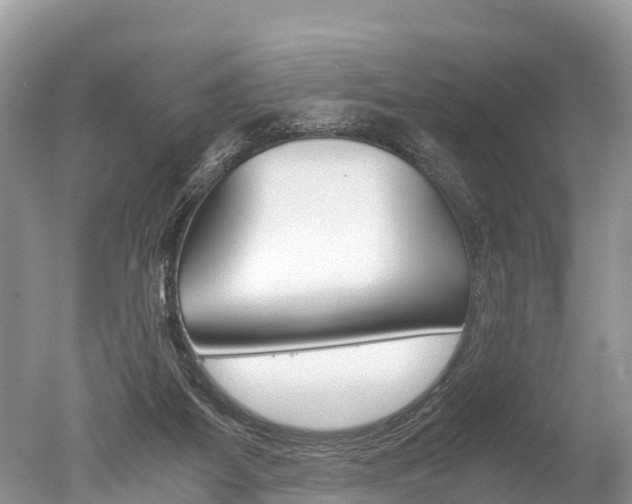 X0000051250115200506170852