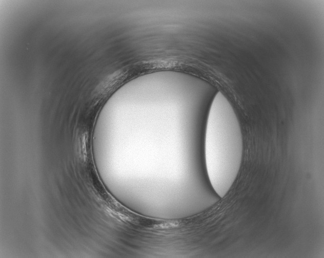 X0000051250118200506170852