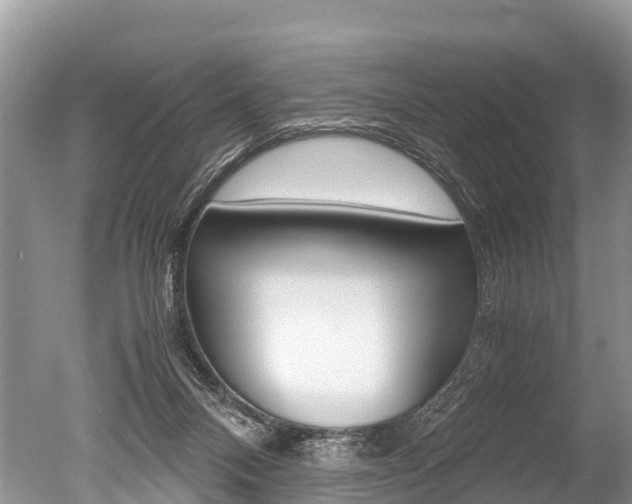 X0000051250120200506170852