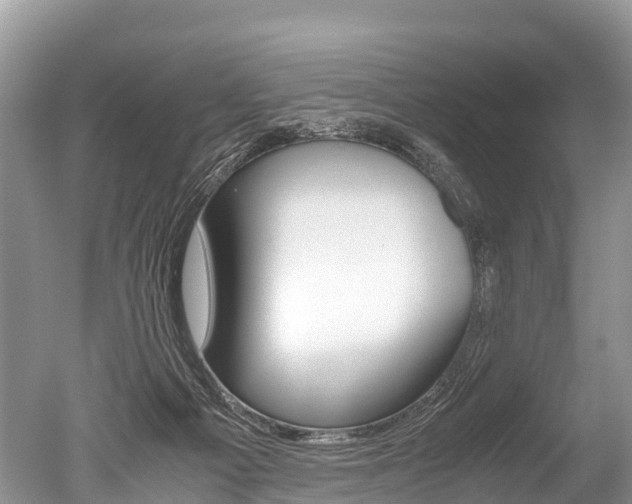 X0000051250121200506170852