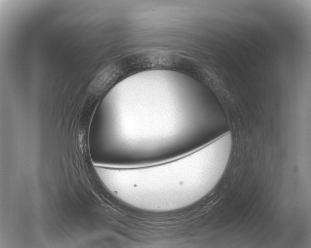 X0000051250123200506170852
