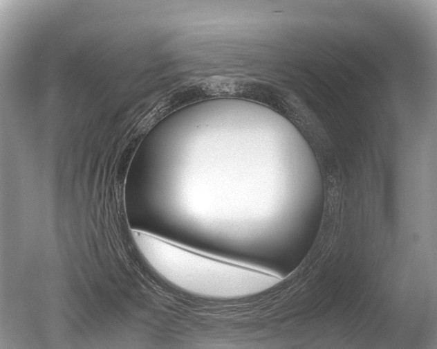 X0000051250125200506170852