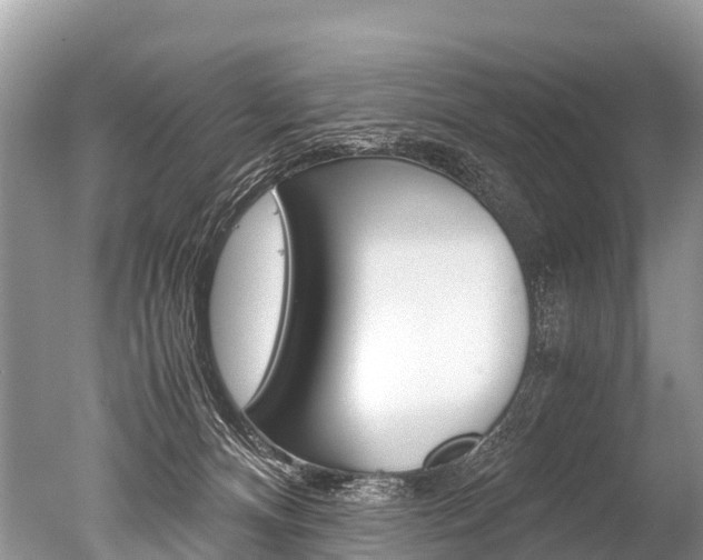 X0000051250128200506170852