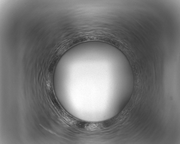 X0000051250129200506170852