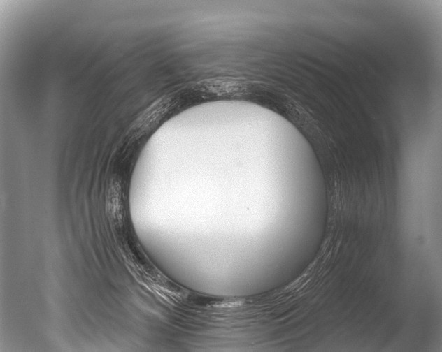 X0000051250132200506170852
