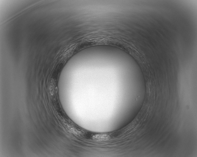 X0000051250133200506170852