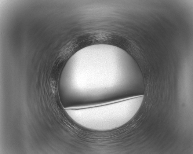 X0000051250135200506170852