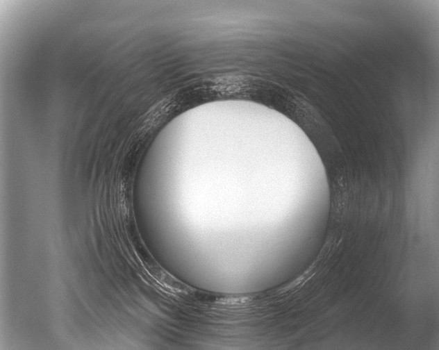 X0000051250136200506170852
