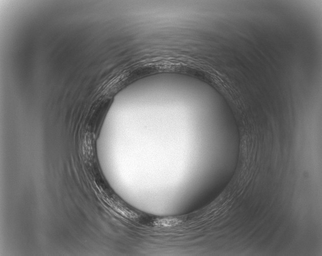X0000051250137200506170851