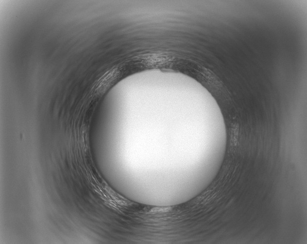 X0000051250138200506170851