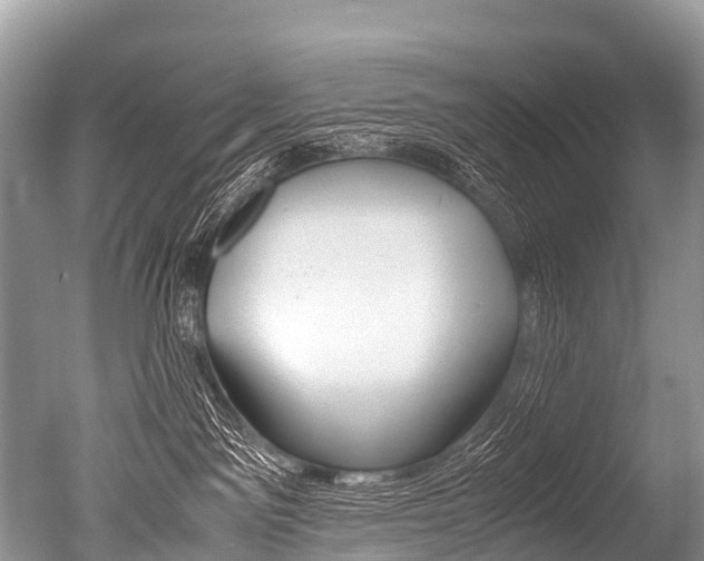X0000051250141200506170851