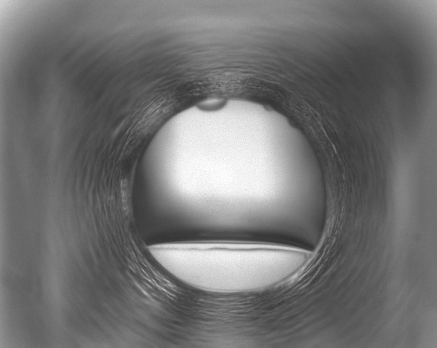 X0000051250144200506170851