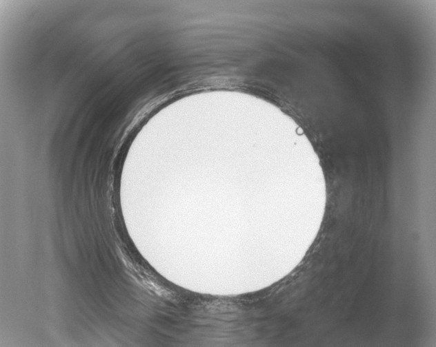 X0000051250146200506170851