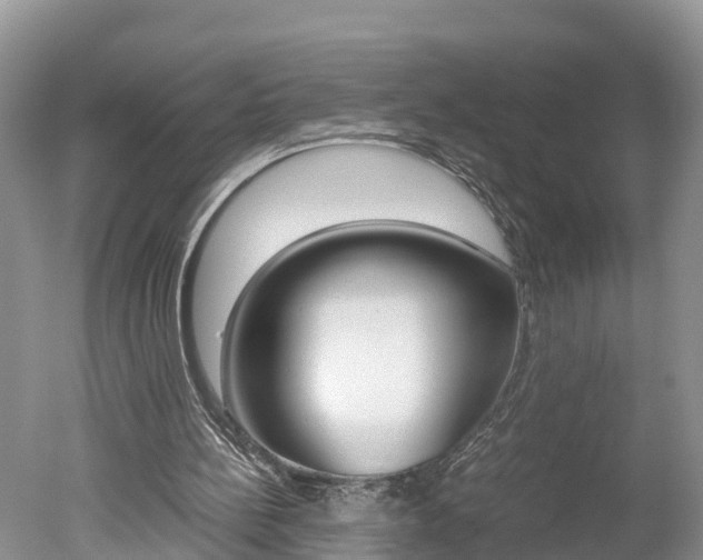 X0000051250148200506170851