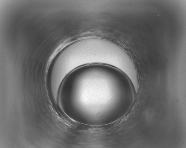 X0000051250150200506170851