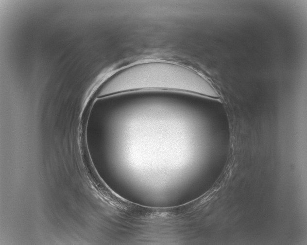X0000051250152200506170851