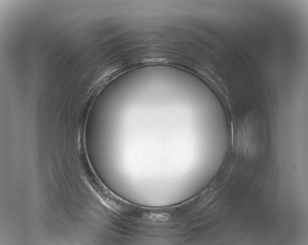 X0000051250157200506170851
