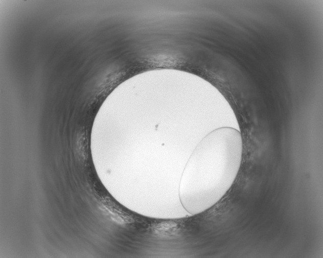 X0000051250162200506170851